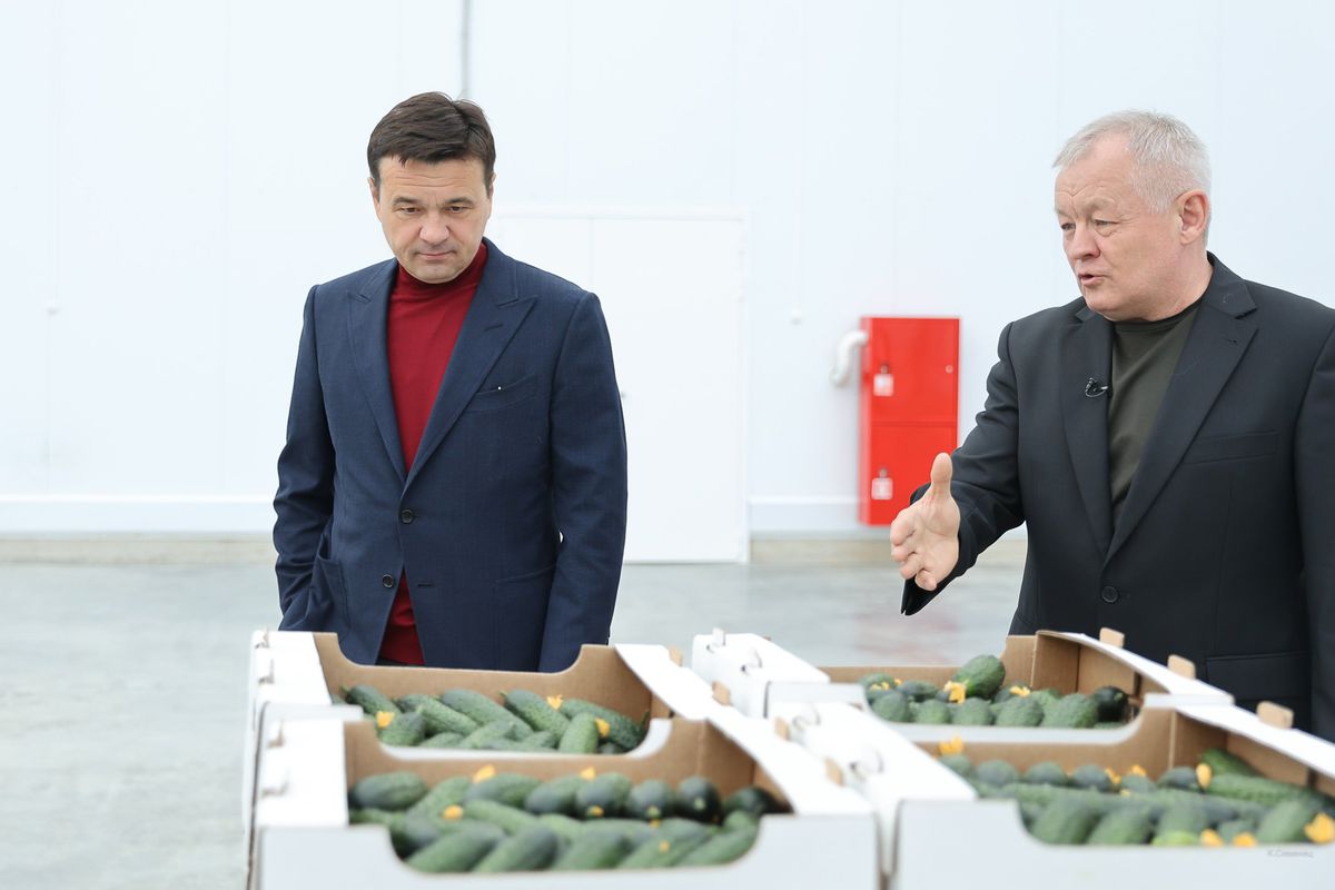 Андрей Воробьев губернатор московской области - Овощи без химикатов. В тепличном комплексе в Серпухове собрали первый урожай
